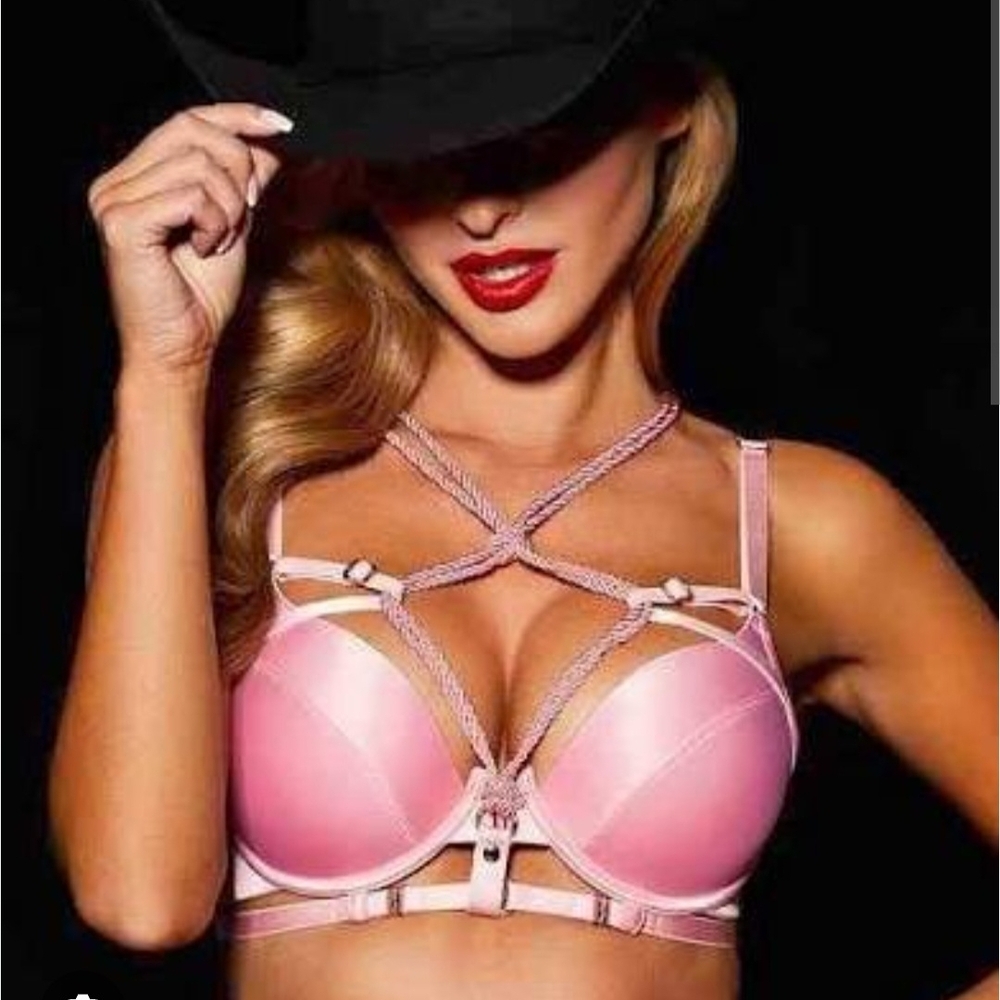 NWT Honey Birdette Pink Harness Bra